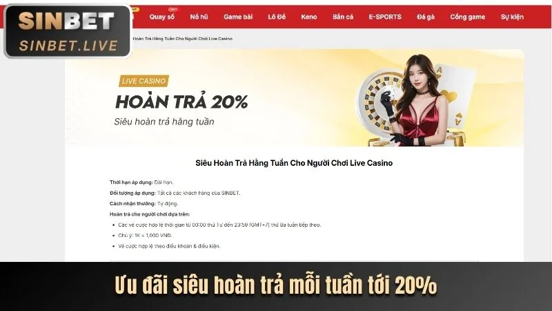 Các loại Cookie y088 khuyến mãi sử dụng